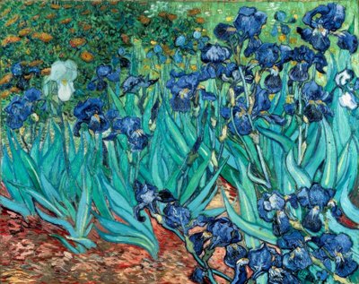 Irises by Vincent van Gogh