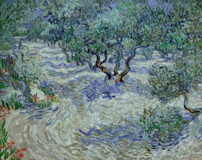 Olive Grove by Vincent van Gogh