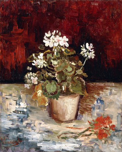 Still Life Pot of Geraniums by Vincent van Gogh