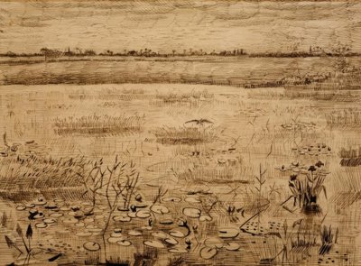 Swamp Landscape with Water Lilies by Vincent van Gogh