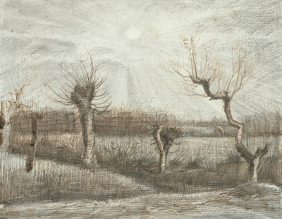 Tadpoles by Vincent van Gogh