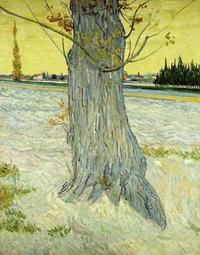 The Old Tree by Vincent van Gogh