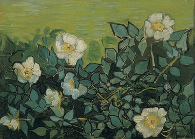 Wild Roses by Vincent van Gogh