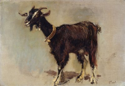 Goat by Vincenzo Caprile