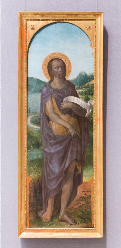 Saint John the Baptist by Vincenzo Foppa