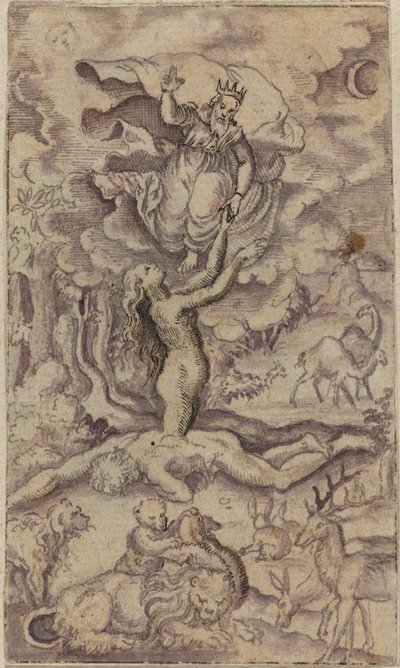 The Creation of Eve by Virgil Solis