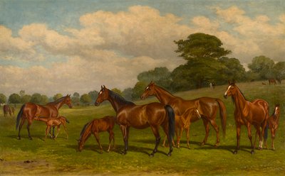 Mares and Foals by W.H. Hopkins