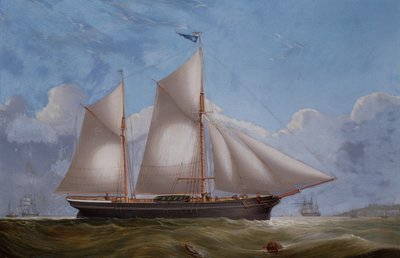Shipping off Sunderland by W.T. Baldwin