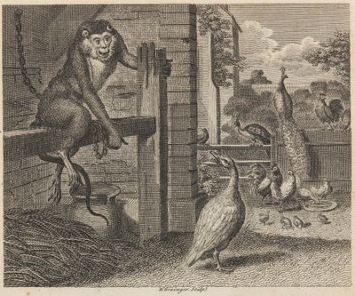 The Baboon and the Poultry by W. Grainger