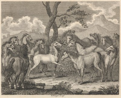 The Council of Horses by W. Grainger