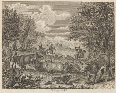 The Hare and Many Friends by W. Grainger