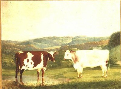 Cattle against a Landscape by W. J. Chapman