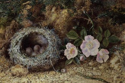 Bird nest and briar roses by W. M. Arundale