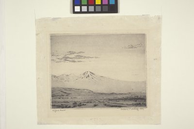 Mojave Desert by Wallace Leroy DeWolf