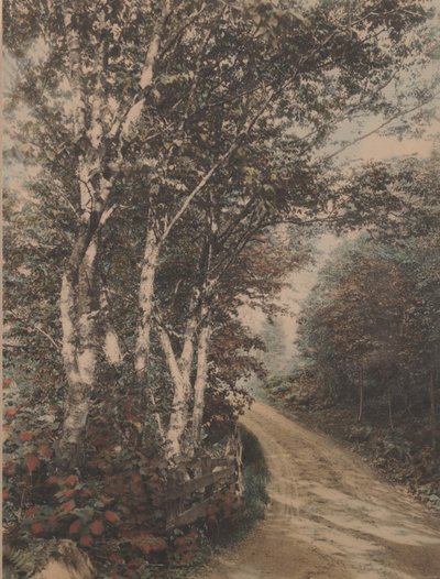 Westmore Drive by Wallace Nutting