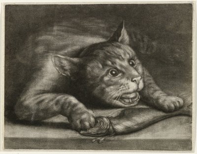 Cat with a Fish by Wallerant Vaillant