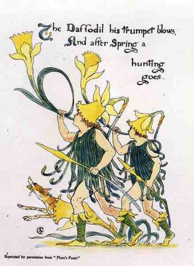 Daffodil Trumpet Blows, from Flora