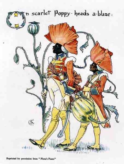 Poppy Heads, from Flora
