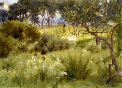 A Wood in Redesdale by Walter John James