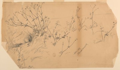 Nature Study by Walter Shirlaw
