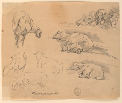 Sketches of Sheep by Walter Shirlaw