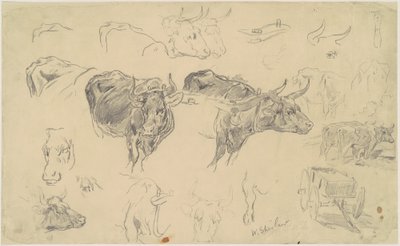 Studies of Oxen by Walter Shirlaw