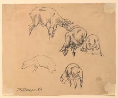 Studies of Sheep by Walter Shirlaw