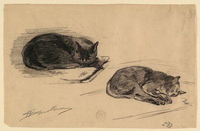 Study of Cats by Walter Shirlaw