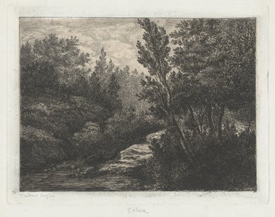 Woods by Walter Teodoro Bosio
