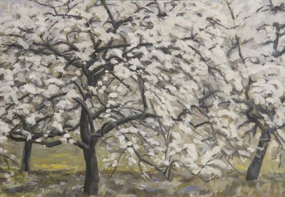 Blooming Fruit Trees by Walther Gamerith