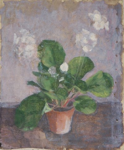 Still Life with Flower Pot by Walther Gamerith