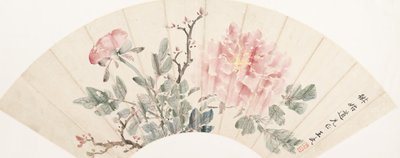 Peony by Wang Wu