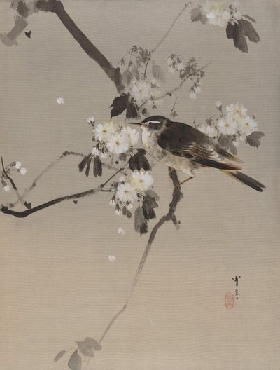 Birds on a Flowering Branch by Watanabe Seitei