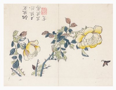 Mustard Seed Garden by Wen shu Chao