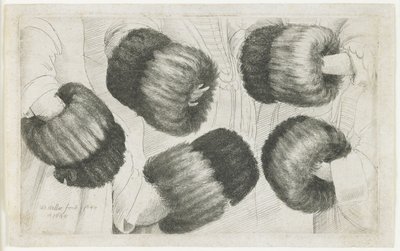 A Muff in Five Views, 1645-1646 by Wenceslaus Hollar