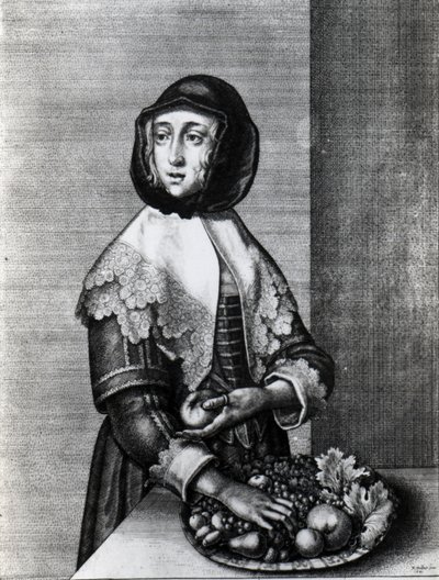 Autumn, 1641 by Wenceslaus Hollar