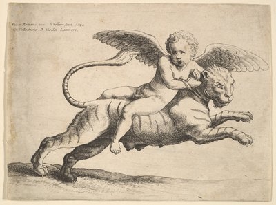 Cupid on a Tiger by Wenceslaus Hollar
