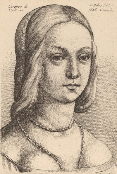 Head of Woman Looking Right by Wenceslaus Hollar