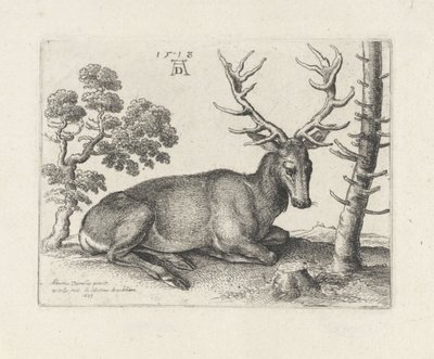 Lying Deer, Facing Right by Wenceslaus Hollar