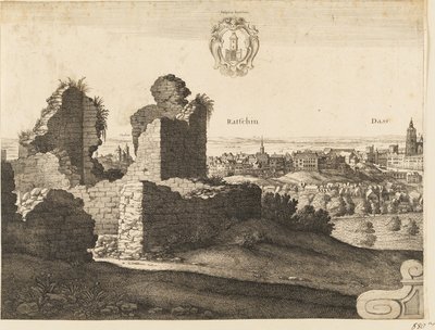 Large Prospect of Prague by Wenceslaus Hollar