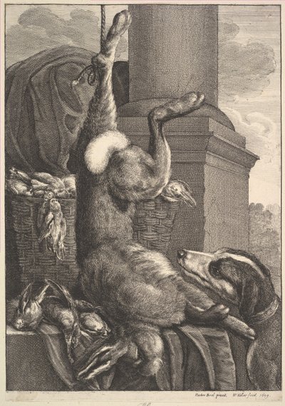 The Dead Hare by Wenceslaus Hollar