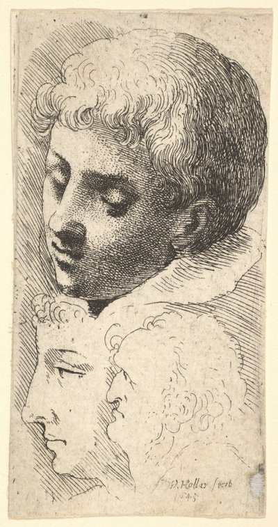 Three Heads by Wenceslaus Hollar