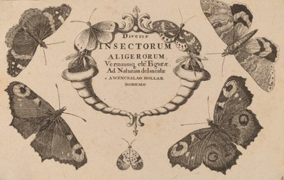Title Page by Wenceslaus Hollar