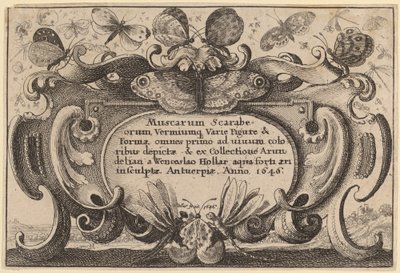 Title Page by Wenceslaus Hollar