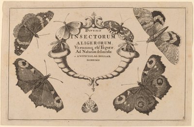 Title Page by Wenceslaus Hollar