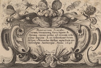 Title Page, 1646 by Wenceslaus Hollar