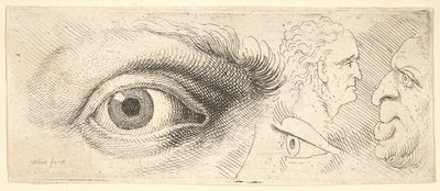 Two Eyes and Two Heads by Wenceslaus Hollar