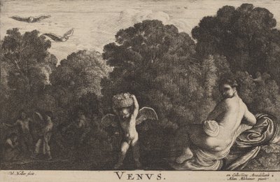 Venus by Wenceslaus Hollar