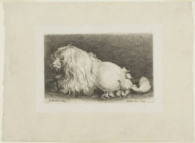 White Dog by Wenceslaus Hollar