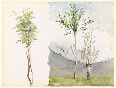 Landscape Sketches by Whitney Warren Jr.